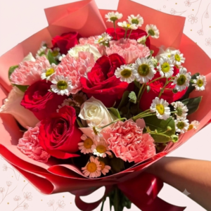 Ensueño de Rosas Chipre Manizales Caldas Colombia